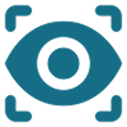 Vision Icon